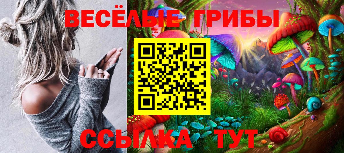Галлюциногенные грибы Psilocybine cubensis Рузаевка