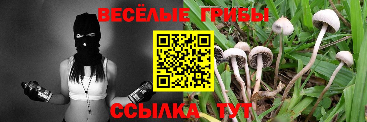 Псилоцибиновые грибы ЛСД  Вход с VPN  Рузаевка  Галлюциногенные грибы мицелий 